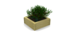 A small leafy green plant grows in a square 35cm log planter filled with soil, set against a white background.