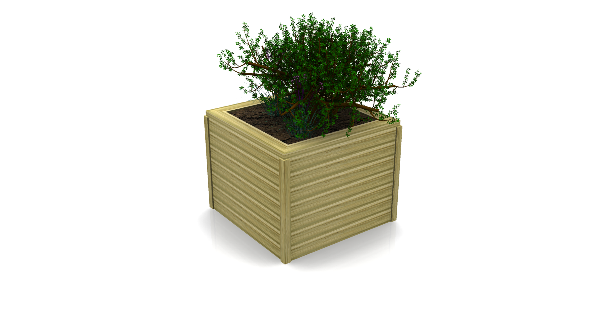 A 75cm Log Planter wooden square box filled with soil and a green leafy plant, isolated on a white background.
