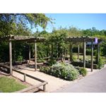 Wooden pergolas with benches and greenery underneath, situated in a landscaped outdoor area on a sunny day.
