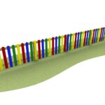 Coloured HDPE pales on a wooden frame to create a fence on grass