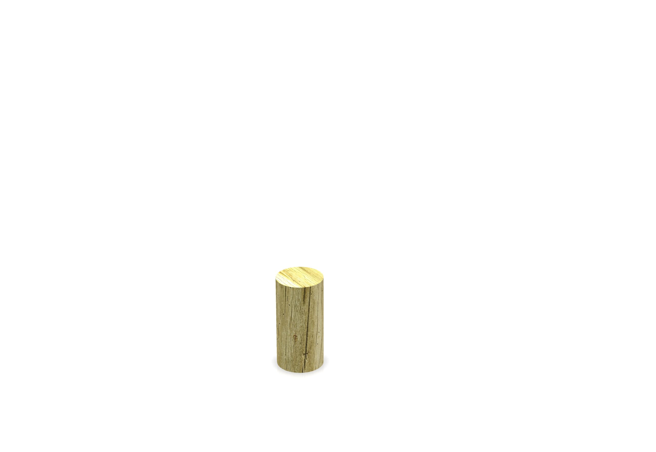 A single vertical wooden cylinder stands upright on a plain white background.