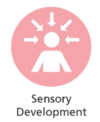Icon of a person with arrows pointing towards their head, symbolising sensory input, above the words Sensory Development on a pink background.